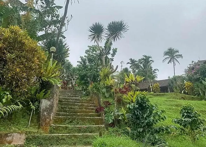 Jatiluwih アンスリ